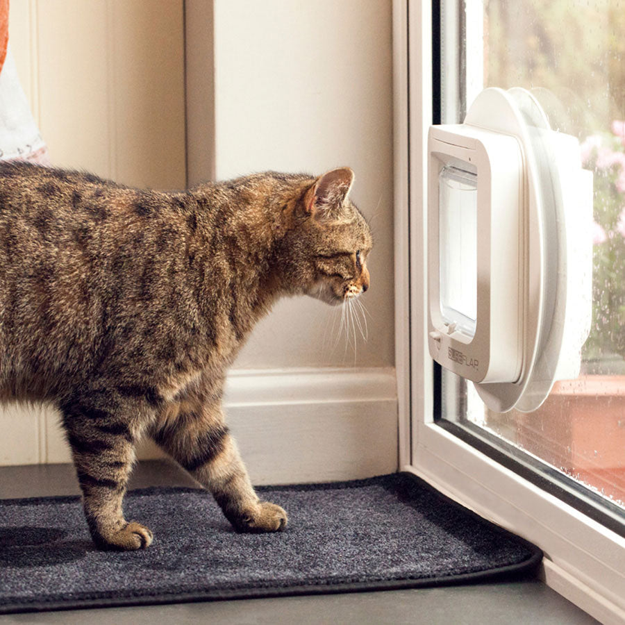 SureFlap Microchip Cat Flap – White Small
