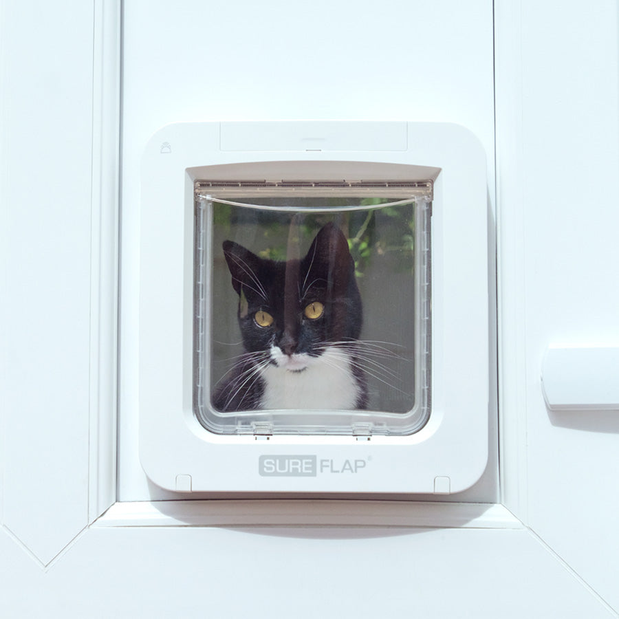 SureFlap Connect Microchip Pet Door with Hub – White Medium/Large